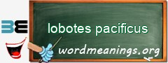 WordMeaning blackboard for lobotes pacificus